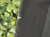 IMG_1149.png