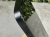 IMG_1433.png