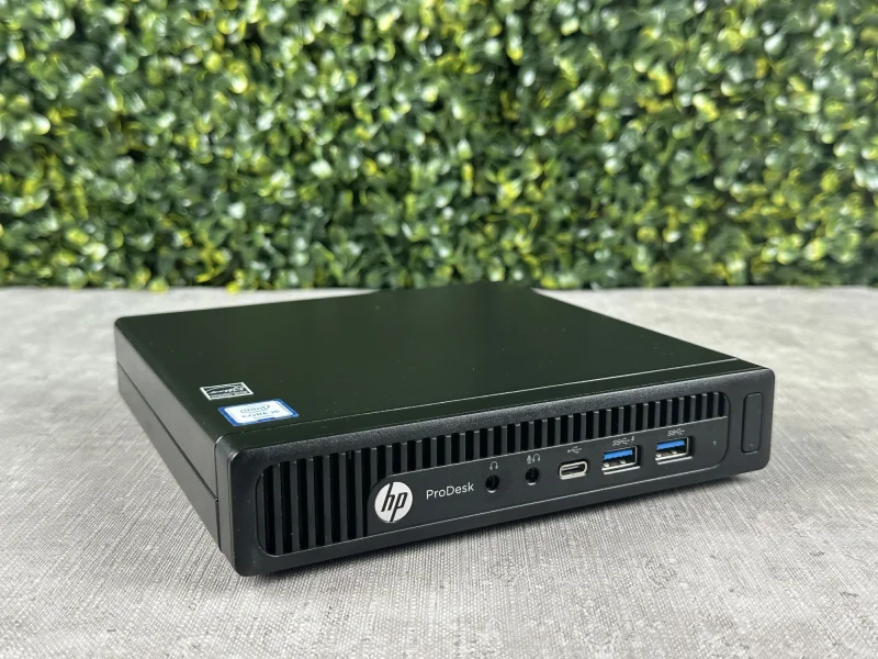 202.jpg