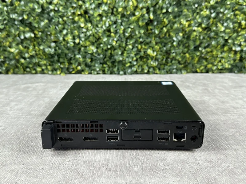 204.jpg