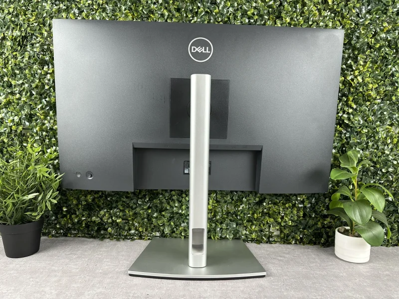 202.jpg