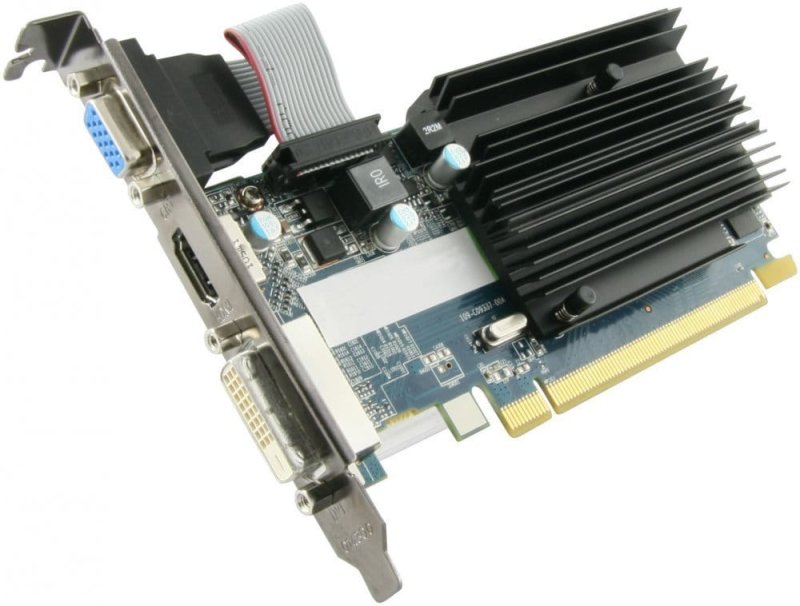 846107.jpg
