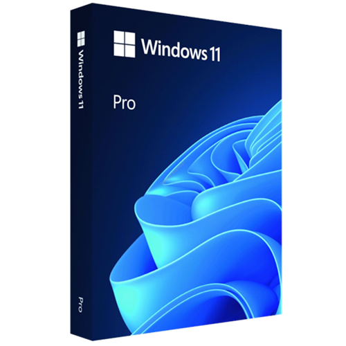Windows 11 Pro